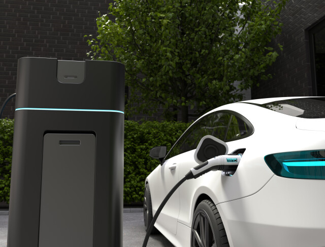 Flota pojazdów elektrycznych
